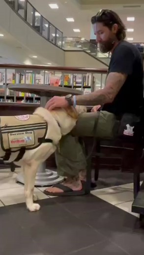 304K views · 5.5K reactions | The ‘rest’ command is a powerful grounding tool for veterans and first responders. When given, our dogs gently place their heads on their handler’s thigh, providing comfort and calm in overwhelming situations #veterans #veteran #veteransupport #americasvetdogs #livewithoutboundaries #servicedog | America's VetDogs | Facebook