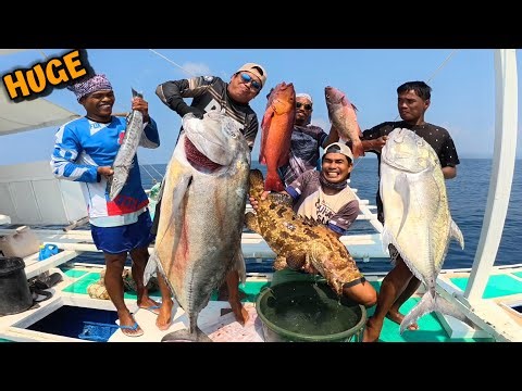 This is HUGE | Massive Catch Using Traditional Longline Fishing
