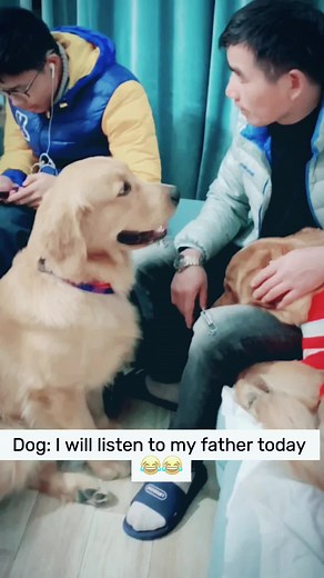 Funny__catanddog trên TikTok