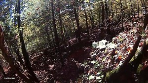 46K views · 178 reactions | Ever wanted to Spear a hog? Tactacam founder Ben Stern get's it done with multiple Tactacam angles! | Tactacam | Facebook