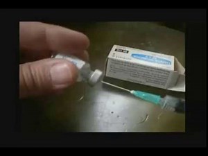 Como poner inyección intramuscular a un gato, felino. Ejemplo Antibiotico