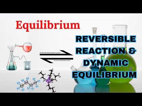 INTRODUCTION TO CHEMICAL EQUILIBRIUM | REVERSIBLE REACTION AND DYNAMIC EQUILIBRIUM