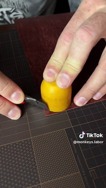 Monkey’s labor on TikTok