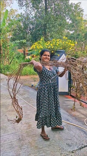 Road construction destroyed our plant, kerala life, shorts