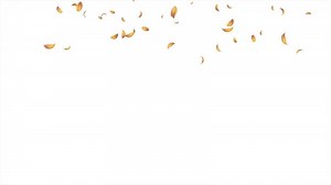 Download Autumn leaves falling animation. Realistic falling leaves. Natural leaves animation Motion nature scene abstract background for free