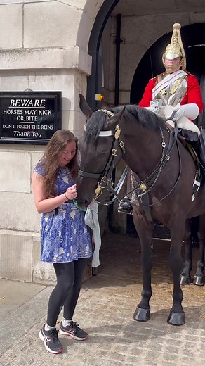 103K views · 1K reactions | This royal kings guard horse love humans! #human #royalkingsguards #horseguards #royalhorse #kingshorse #funny #kingsfunnyhorse #comedy #london #england #fbvirals | Royal Guards of The King | Facebook