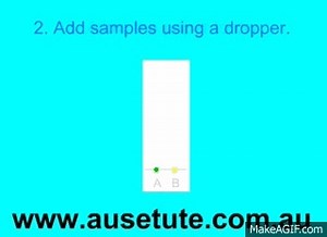 Paper Chromatography on Make a GIF