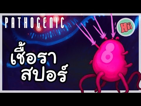 สปอร์เชื้อราสุดอึดถึกทน! | Pathogenic