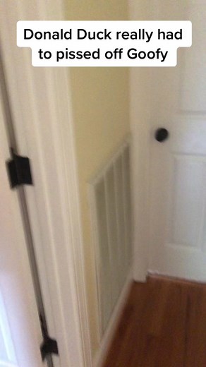 Goofy and Donald Duck Funny Voice Impressions