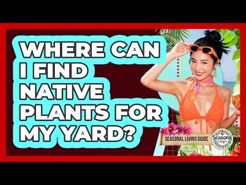 Where Can I Find Native Plants For My Yard?