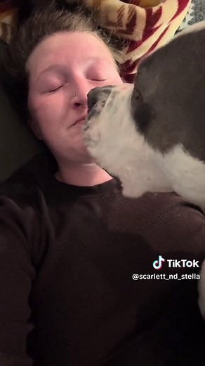 Scarlett's Playful Kisses: ASMR Moments with a Pitbull