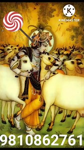 1.3K views · 24 reactions | Hare krishna For personal paid sessions for kg guruji 9810862761 | KG Guruji AstroTantra | Facebook