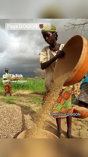 Célébrons la culture et l'héritage du pays Dogon