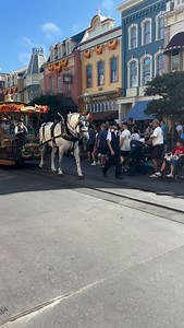 A moment for the Dapper Dans! 👏🏻❤️ #Dapperdans #disney #waltdisneyworld #disneyparks #disneyworld #disneyvacation #liveentertainment #mainstreetusa | Faith Trust and Christ