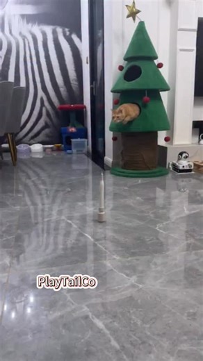 PlayTailCo | 【Suction Cup Butterfly Toy】 Endless fun is just a click away! 🦋 ✅ Strong suction base ✅ Automatic fluttering motion ✅ Replaceable battery... | Instagram