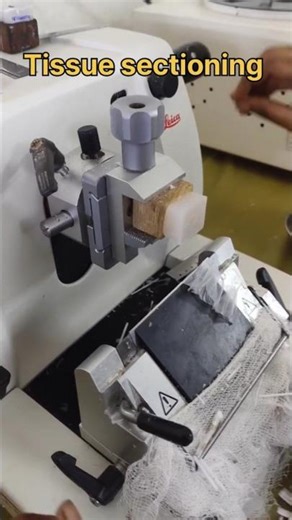 microtome tissue sectioning| #histopathology #satisfying #tissuefixation #histomuseum #anatomy #lab