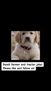 41K views · 373 reactions | Dave’s farmer and tractor joke! Please like and follow us! | Pets telling jokes | Facebook