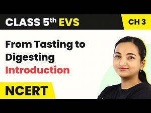 From Tasting to Digesting - Introduction | Class 5 EVS Chapter 3 | CBSE 2024-25