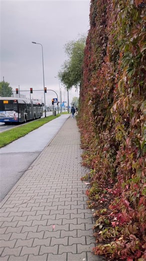 Najczęściej rany emocjonalne, które przynosi nam życie nie są naszą winą, ale dbanie o to, aby mieć uleczoną duszę i chodzenie w zdrowiu psycho-emocjonalnym zawsze jest naszą odpowiedzialnością. Tak, jak nie da się przejść przez życie bez skaleczeń, tak też nie da się przejść przez nie bez zranionego serca. Czasami tak jak ciało choruje, tak też choruje dusza. Niekiedy jest to spowodowane niezwykle trudnymi okolicznościami. Jednak zawsze w takich okolicznościach warto pracować nad tym, aby powró