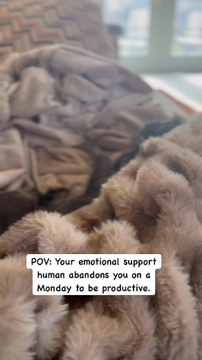 Katie Bowers Webb on Reels