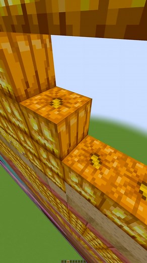 Chris_Minecraft on TikTok