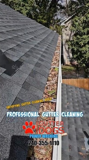 Spring Cleaning Starts With Professional Gutter Cleaning in PG County Md
