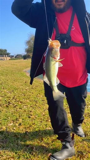 DUDES OUTDOOR FISHING on Instagram: "The Best finesse swim jig in the Game ✋🏽👍🏽 in my ￼Opinion. I pair it with a 3.2 Divine swimbait and it’s ON 🤙🏽🎣 #kondaswimjig #6thsensefishing #swimbait #divine"