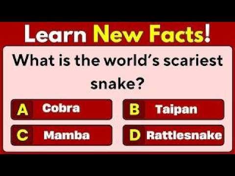 How Good Is Your General Knowledge? 🤔 | Ultimate General Knowledge Quiz | Mixed Trivia Challenge