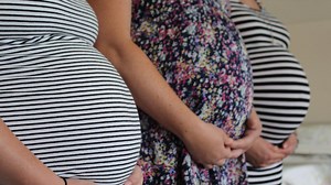 Religion bill ‘a threat to jobs of IVF parents’