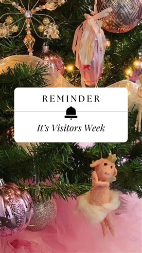 Valley Dance Productions on Instagram: "Reminder..... today begins a special week of student celebrations and their accomplishments!! These dancers have worked hard since the beginning of September and are excited to show you how much they have learned and all the new goals and achievements they have reached. Please join us for classes this week so that we may celebrate them together. #vdpdance #valleydanceproductions #vdpseason26 #roanokedance #danceroanoke"