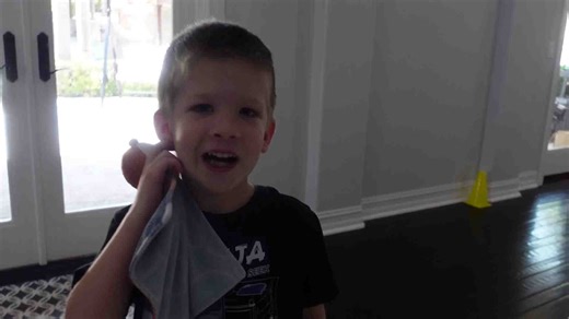 Our new pet tarantula!