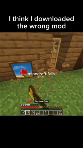 Downloaded the Wrong Mod in Minecraft