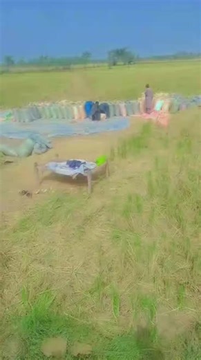 Noshad Ali Magsi110✨🔥🔥 (@noshadalimagsi110)’s videos with original sound - Singer SarDar SoLangi