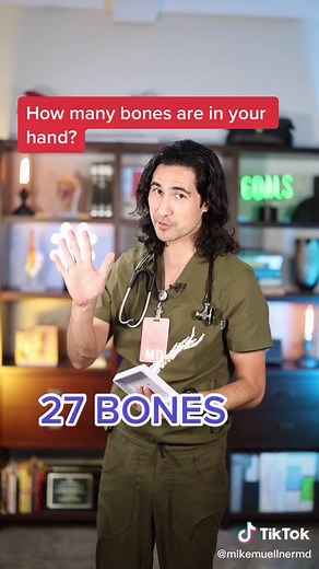 How many bones are in your hand? #health #didyouknow #science101 #goodmemories
