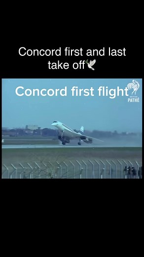 All about airplanes on Instagram: "Concord first and last landing🕊️ #concord #airplanes#aviation #aviationlovers#airplanelovers#airport#takeoff"