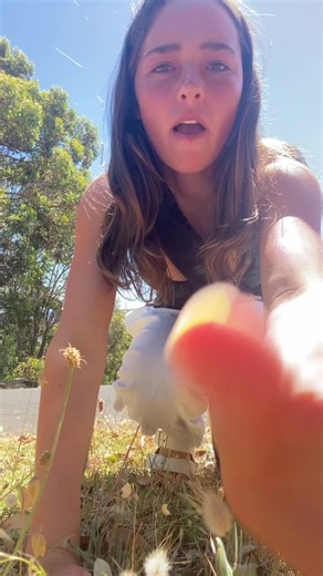 Nostalgia for Estelle: A Reflection