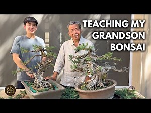 Tips on Pruning a Juniper: Step-By-Step Walkthrough with my Grandson