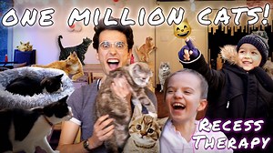 For this episode I braved my severe asthma and went to the Brooklyn Cat Cafe to talk to kids all about our feline friends! | Recess Therapy