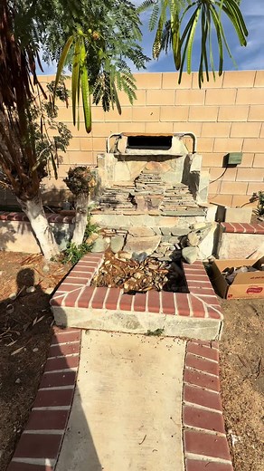 In the process to our new pond #turtletok #turtle