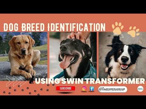 Dog Breed ID with Swin Transformer 🐶 | Next-Gen AI for Fine-Grained Recognition!