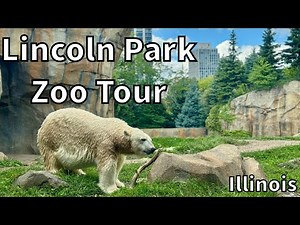 Lincoln Park Zoo Tour [2025] - Chicago, Illinois - USA