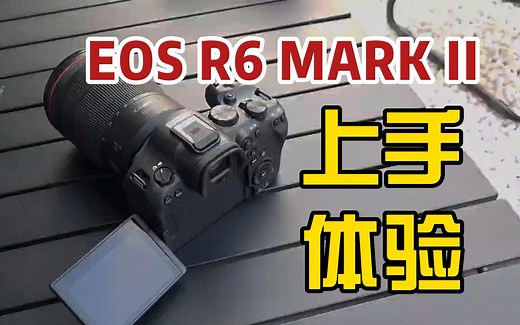 #无忌器材 佳能EOS R6 MARK II上手体验
