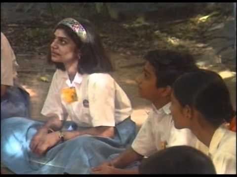 The Web of Life: Classroom Environmental Education Activity