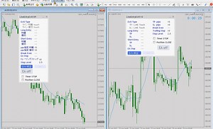水平ライン・トレンドラインタッチorブレイク確定エントリー・エグジット、パネル版EA