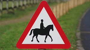 New research adds weight to riders’ calls for drivers to pass wide and slow - Horse & Hound