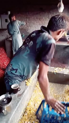 Corn Processing Techniques in Rustic Settings