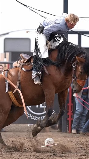 HANGING HORSES on Instagram: "A little yee, a little haww #ranchbroncs @hardgrassbroncmatch — 🤠 COWBOYS & CONTRACTORS: Tag yourselves or DM for credit — pinned comment goes to you. 💬 Conversation encouraged! 🚫 Leave a dick comment? Blocked faster than an open gate. Thx. 🐎 No animals harmed. All riders and livestock are professionals. 📌 Do not repost without explicit credit. 🎥 Captured, not generated. Shot on location, not in a server farm. #rodeo #rodeovideography #cowboyshit"