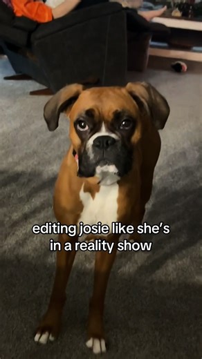 Editing Josie in a Reality Show Style
