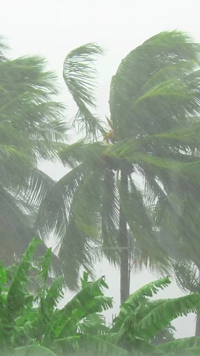 Meet Weather Live° - The Ultimate Weather App for Up-to-Date Forecasts!