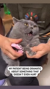 1.7M views · 66K reactions | Karen, I didn’t even touch you yet....